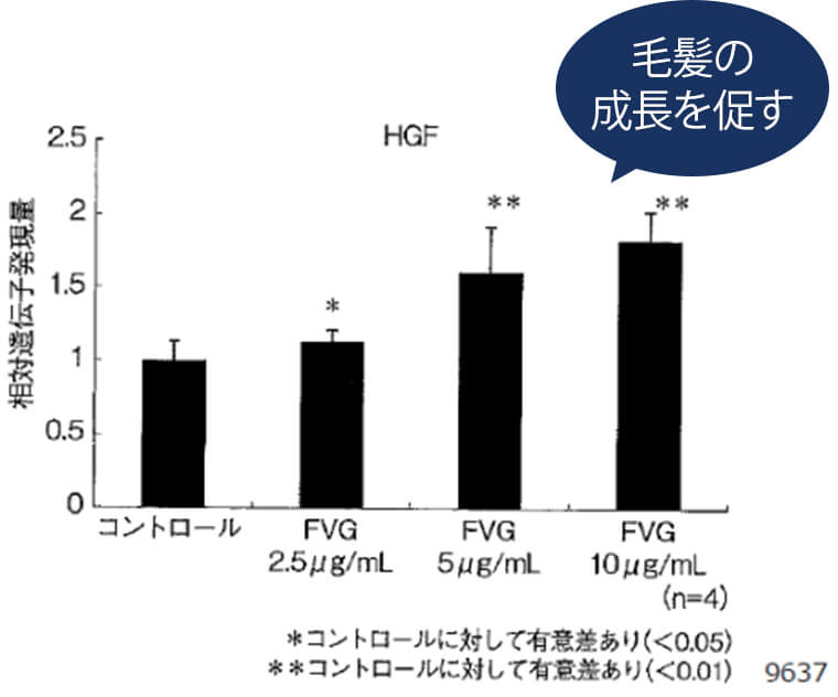 HGF（肝細胞増殖因子）とは？