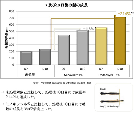 脱毛症の男性の毛包を培養し、1%ミノキシジル及びリデンシルを用い、処理後7日目、10日目に毛包の成長を確認した。