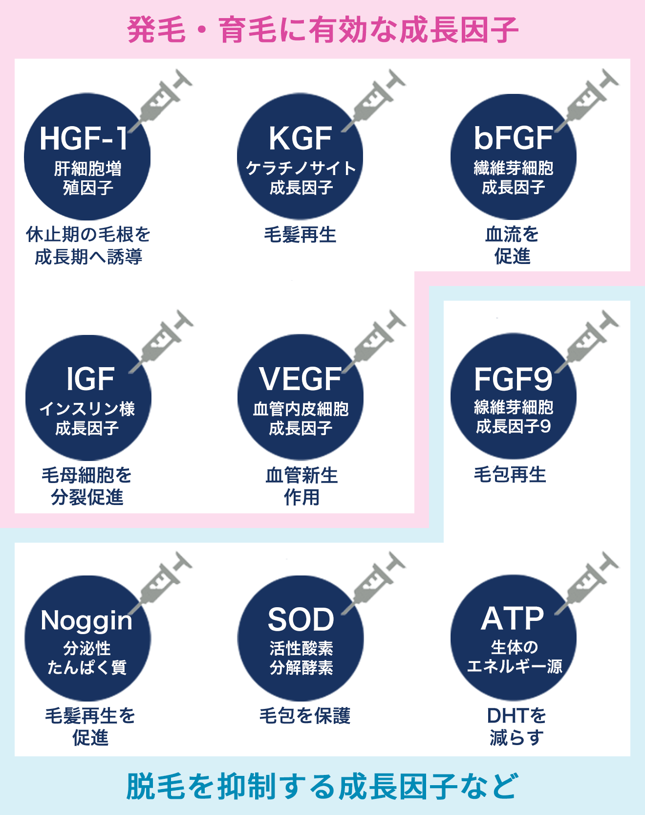 細胞を活性化させる9種類の成長因子